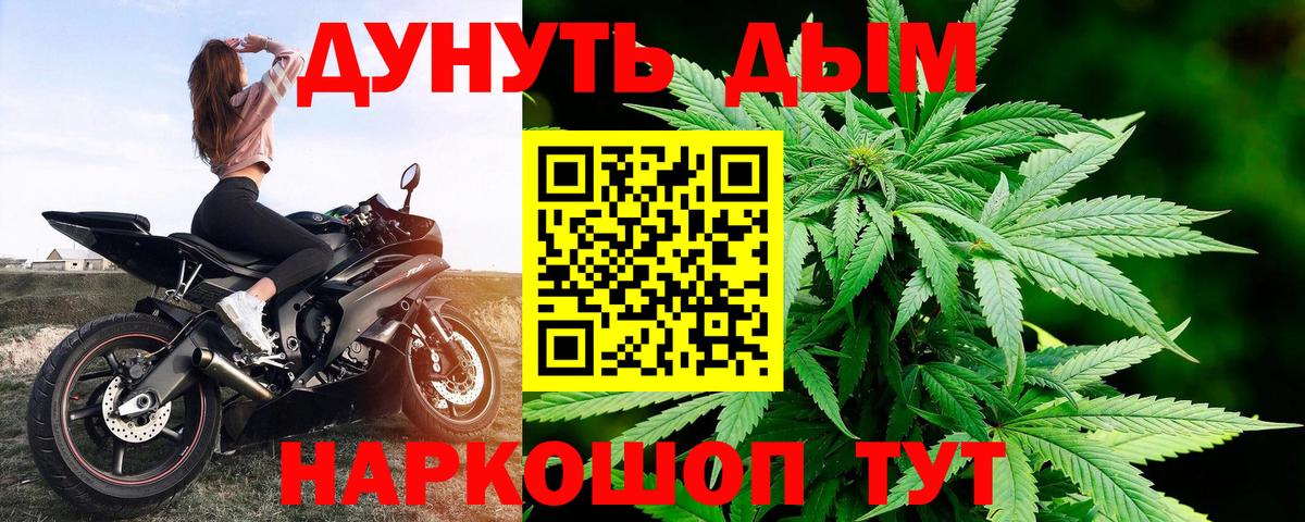 Анапа  Марихуана планчик  Вход с VPN  Канабис гибрид  Каннабис Bruce Banner 
